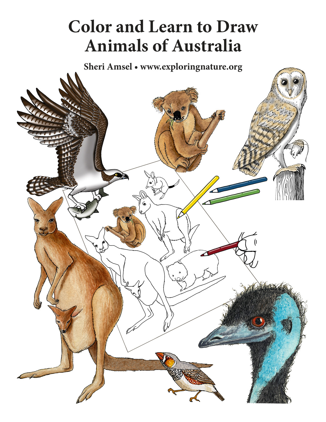 Australia Coloring Pages coloring page preview