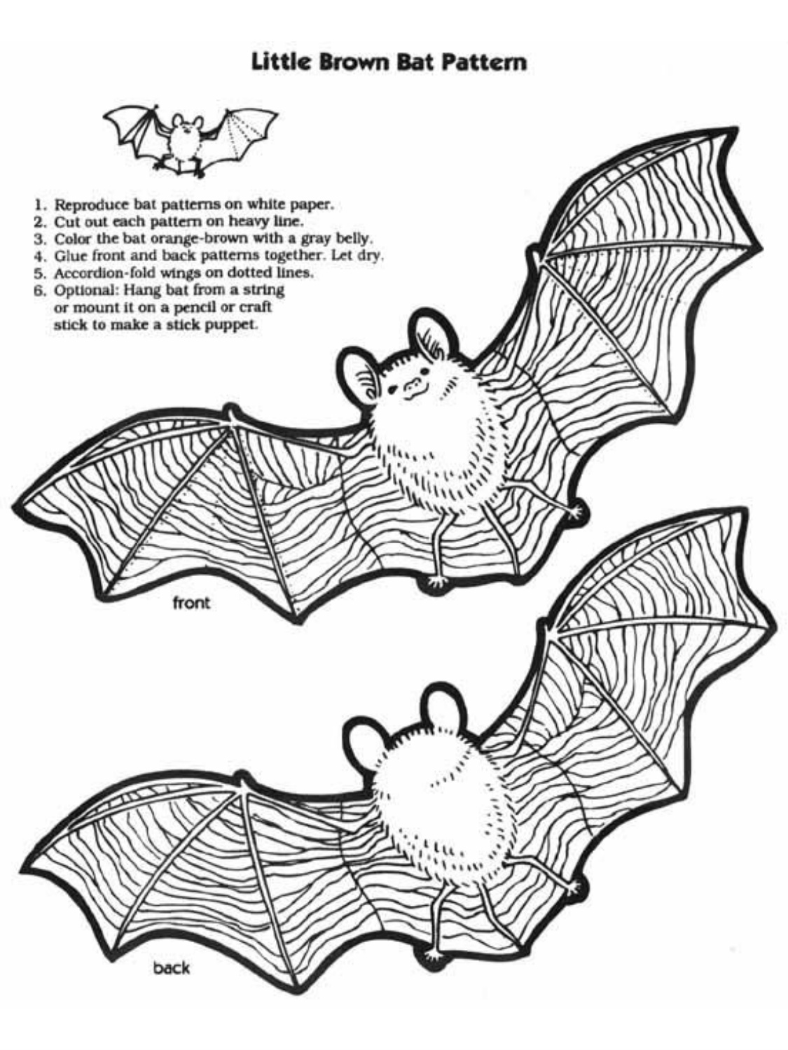 Bat Coloring Pages coloring page preview