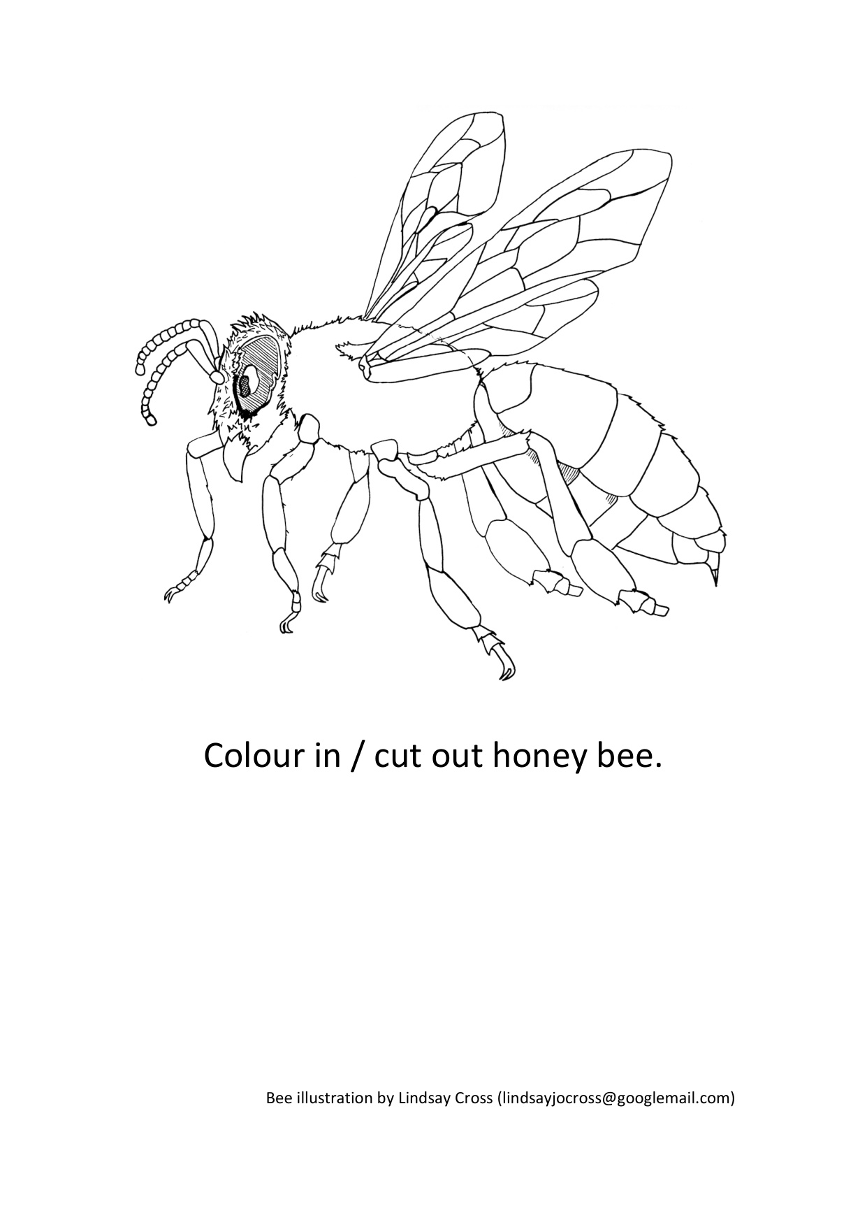 Bee Colour In coloring page preview