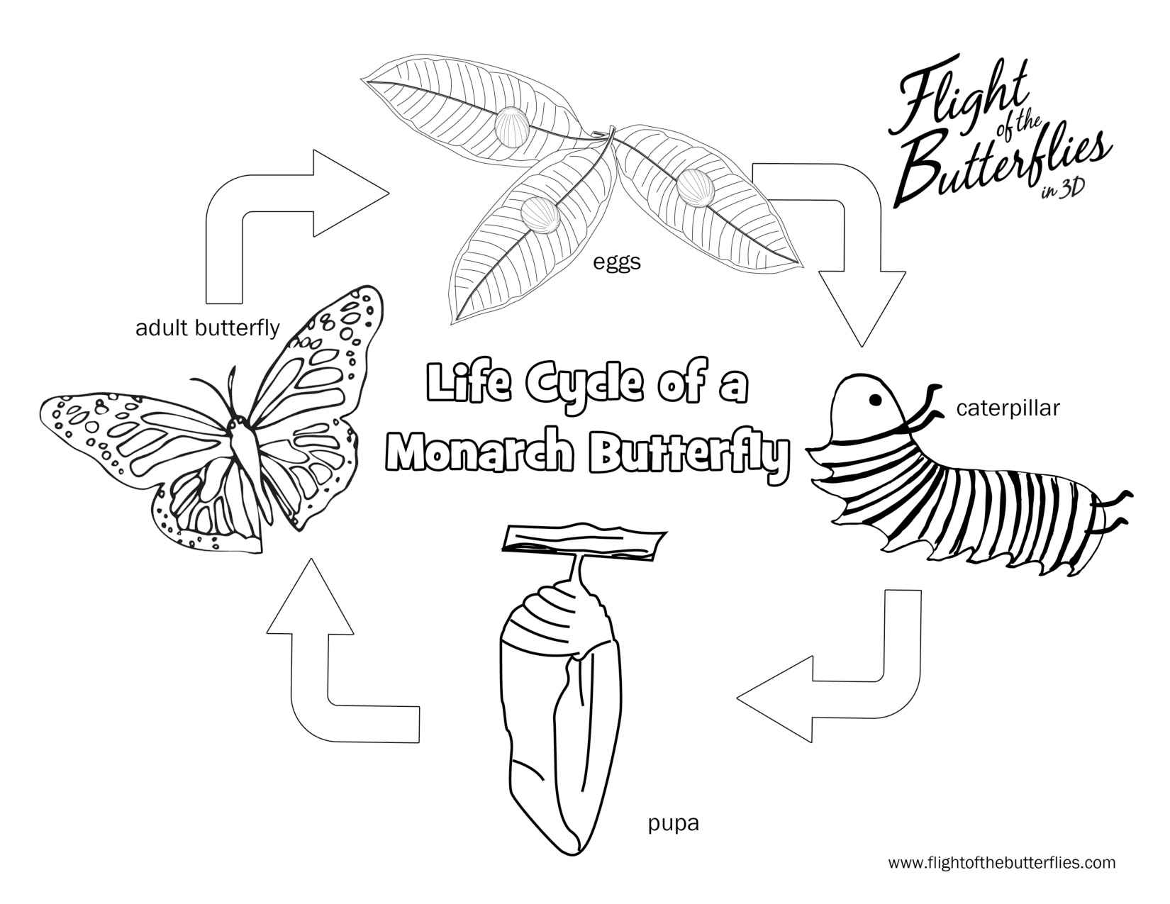 Butterfly Coloring Page Free Printable coloring page preview