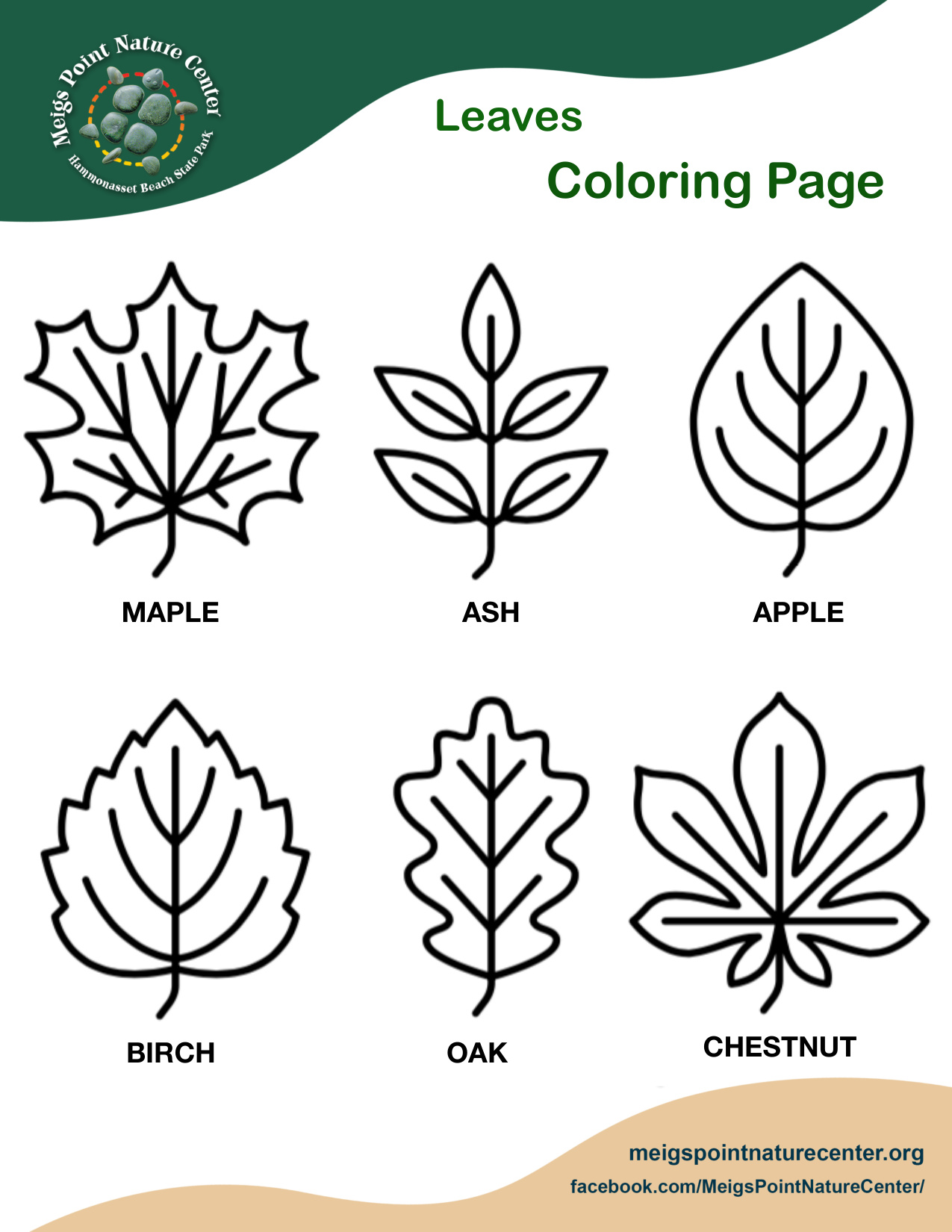 Coloring Pages Of Leaves coloring page preview