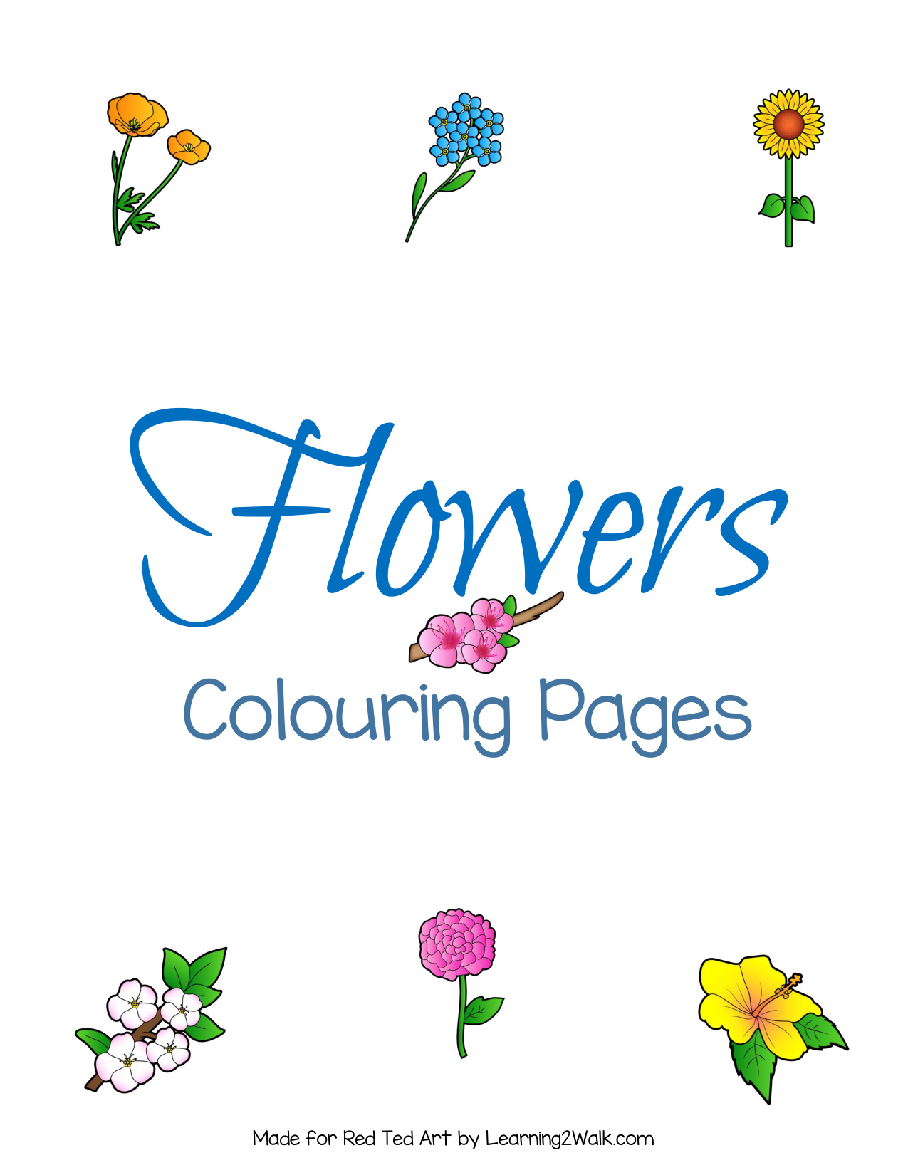 Flower Coloring Pictures To Print coloring page preview