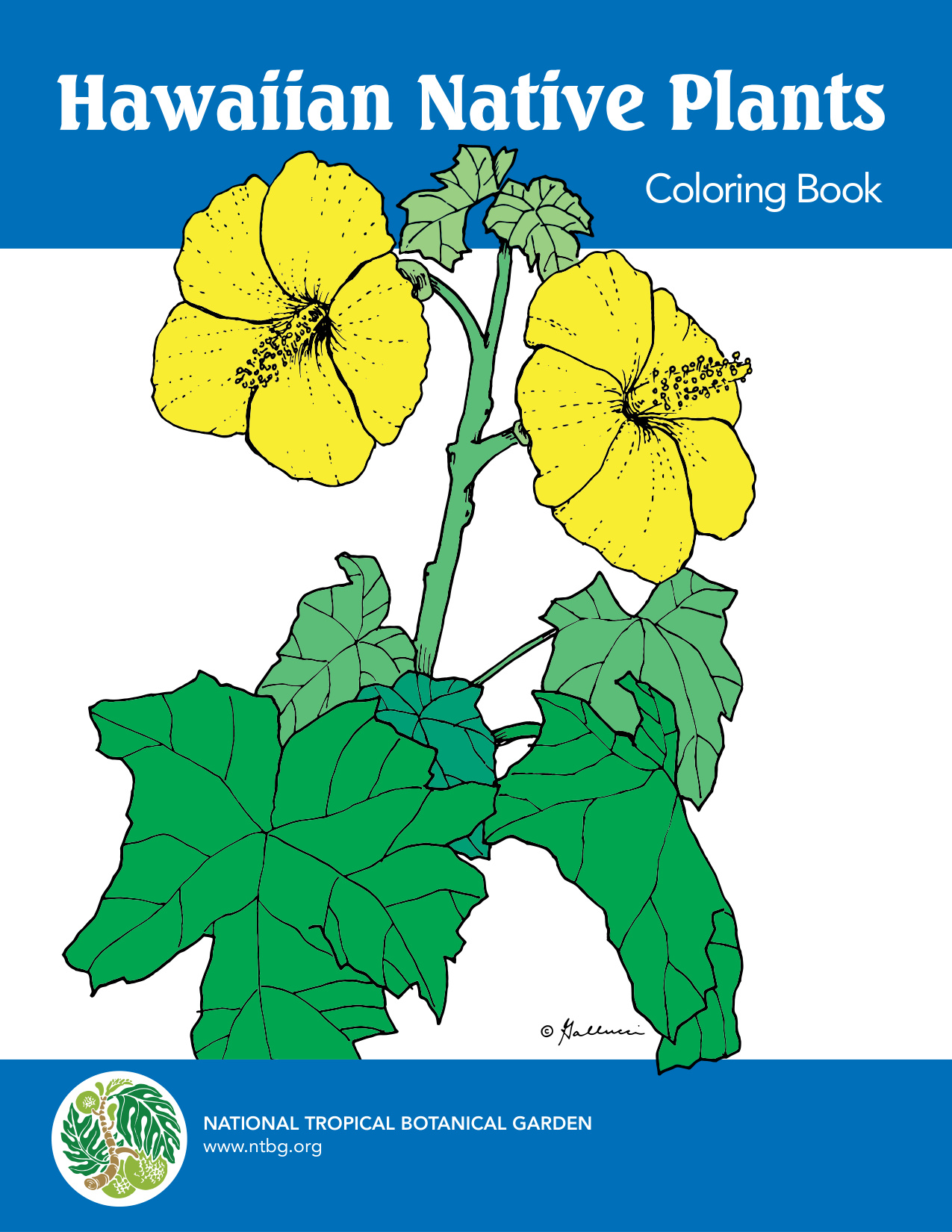 Flower Printable Coloring Pages coloring page preview
