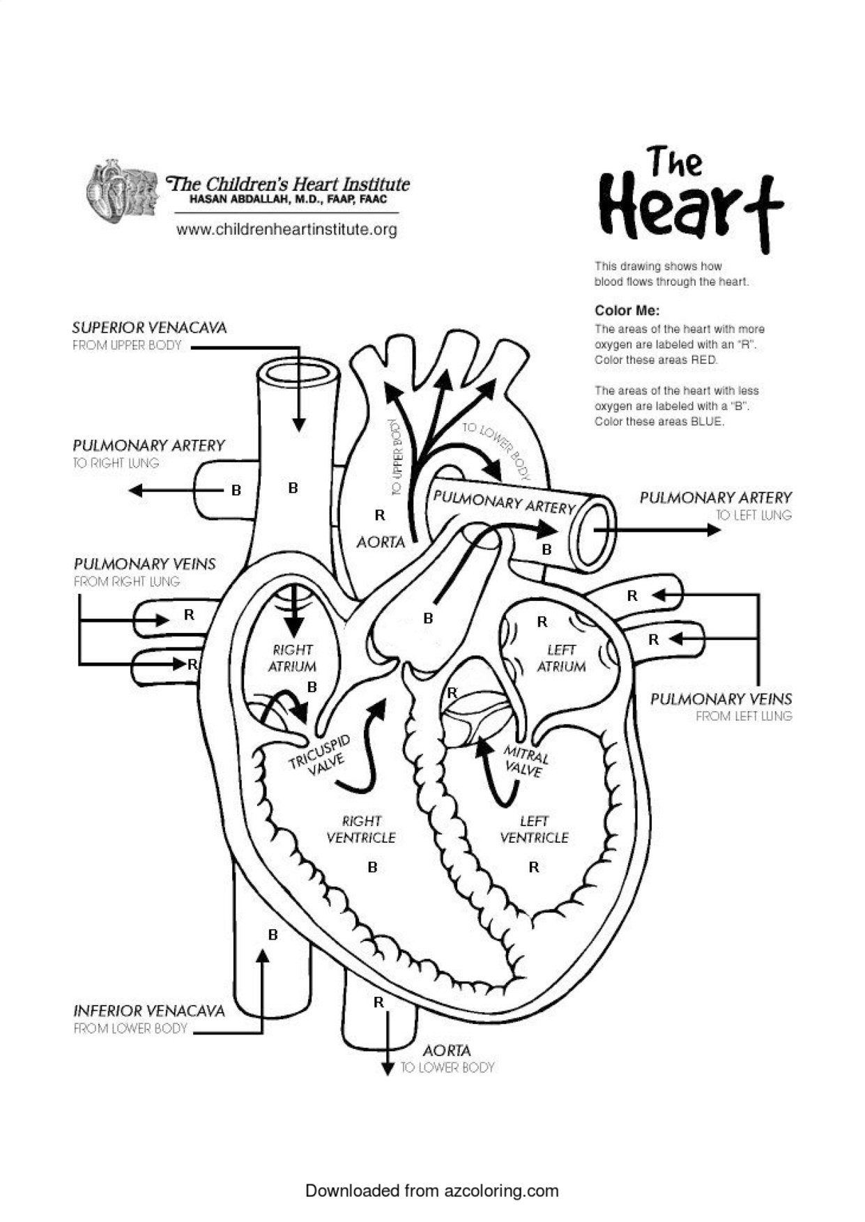 Heart Coloring Pages Printable coloring page preview