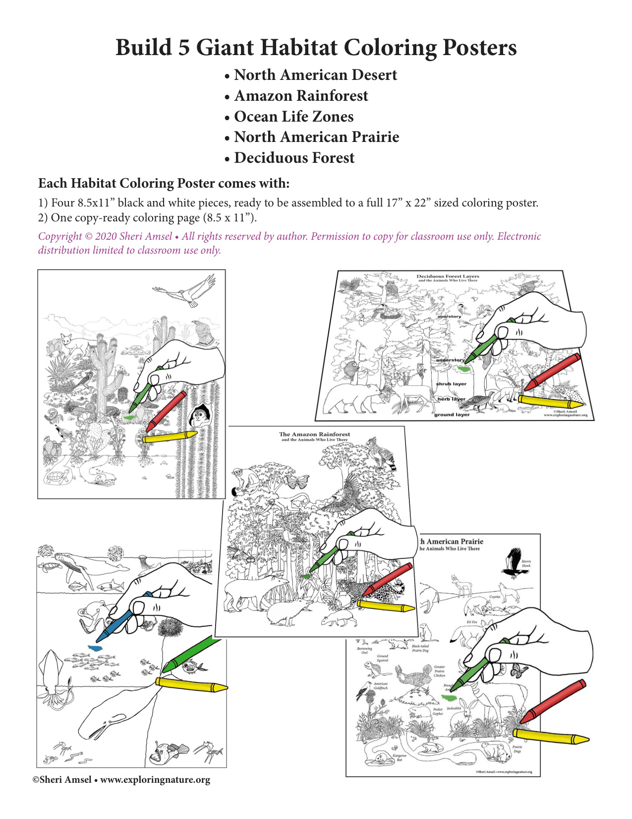Large Coloring Sheets coloring page preview