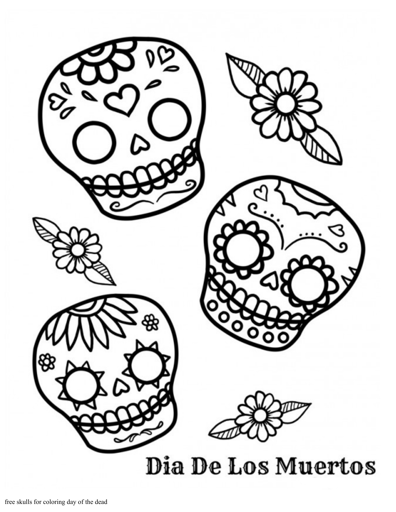 Skull Coloring Pages coloring page preview