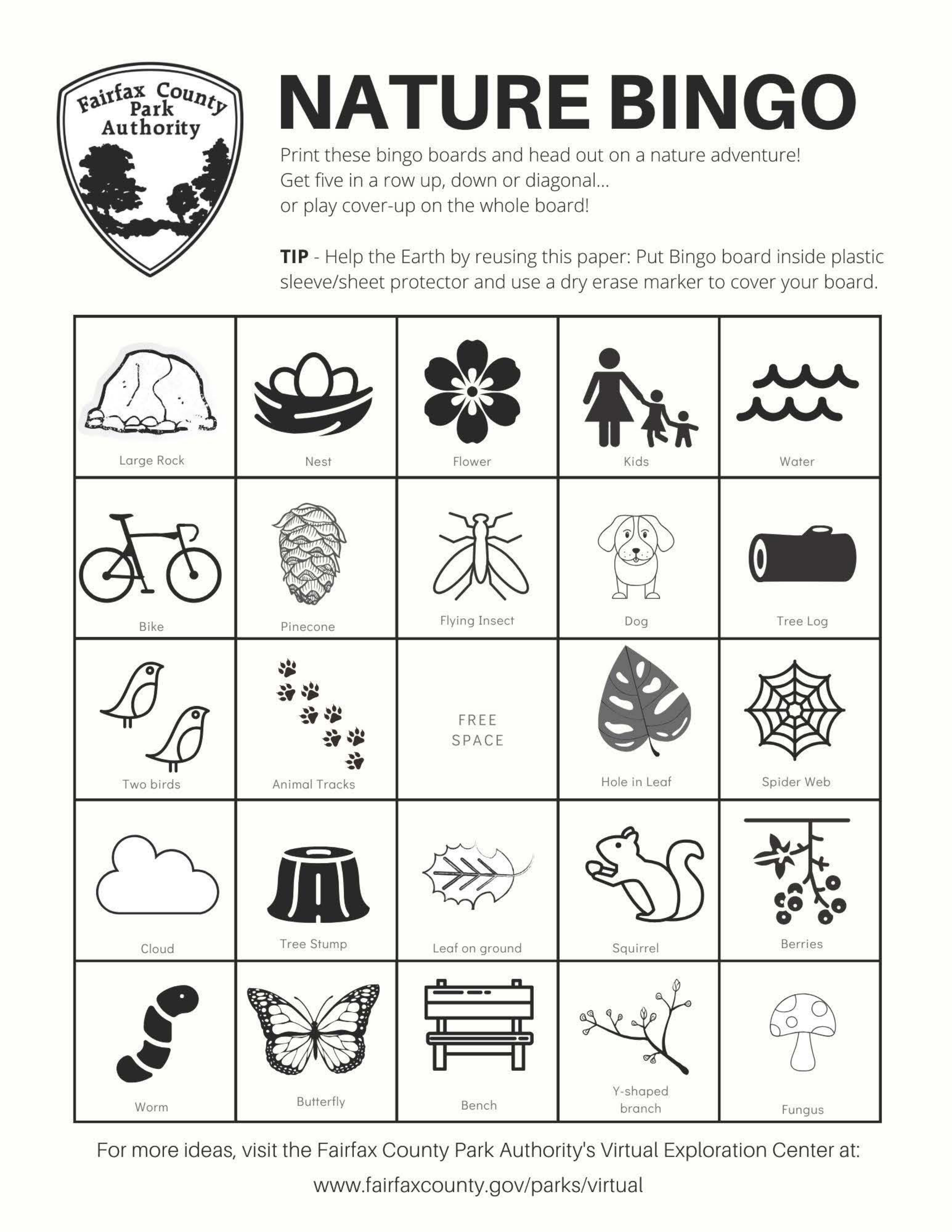 Spring Bingo For Adults coloring page preview