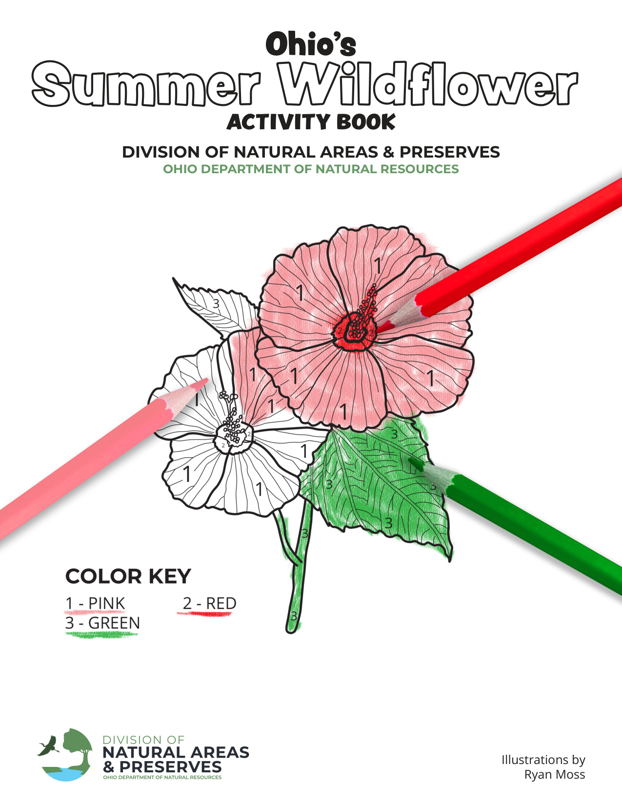 Summer Flowers Coloring Pages coloring page preview