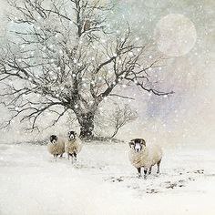 Jane Crowther