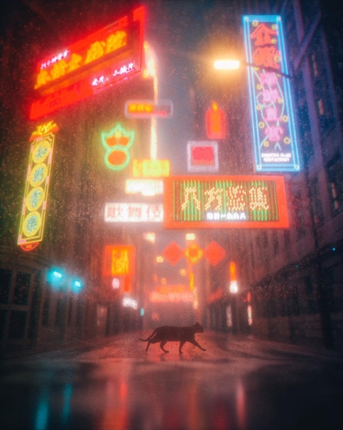 Des. Lo