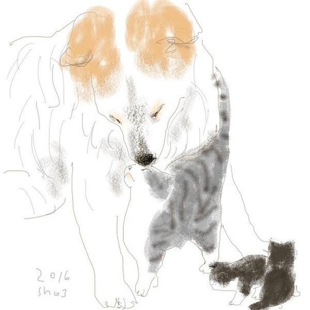 Shozo Ozaki